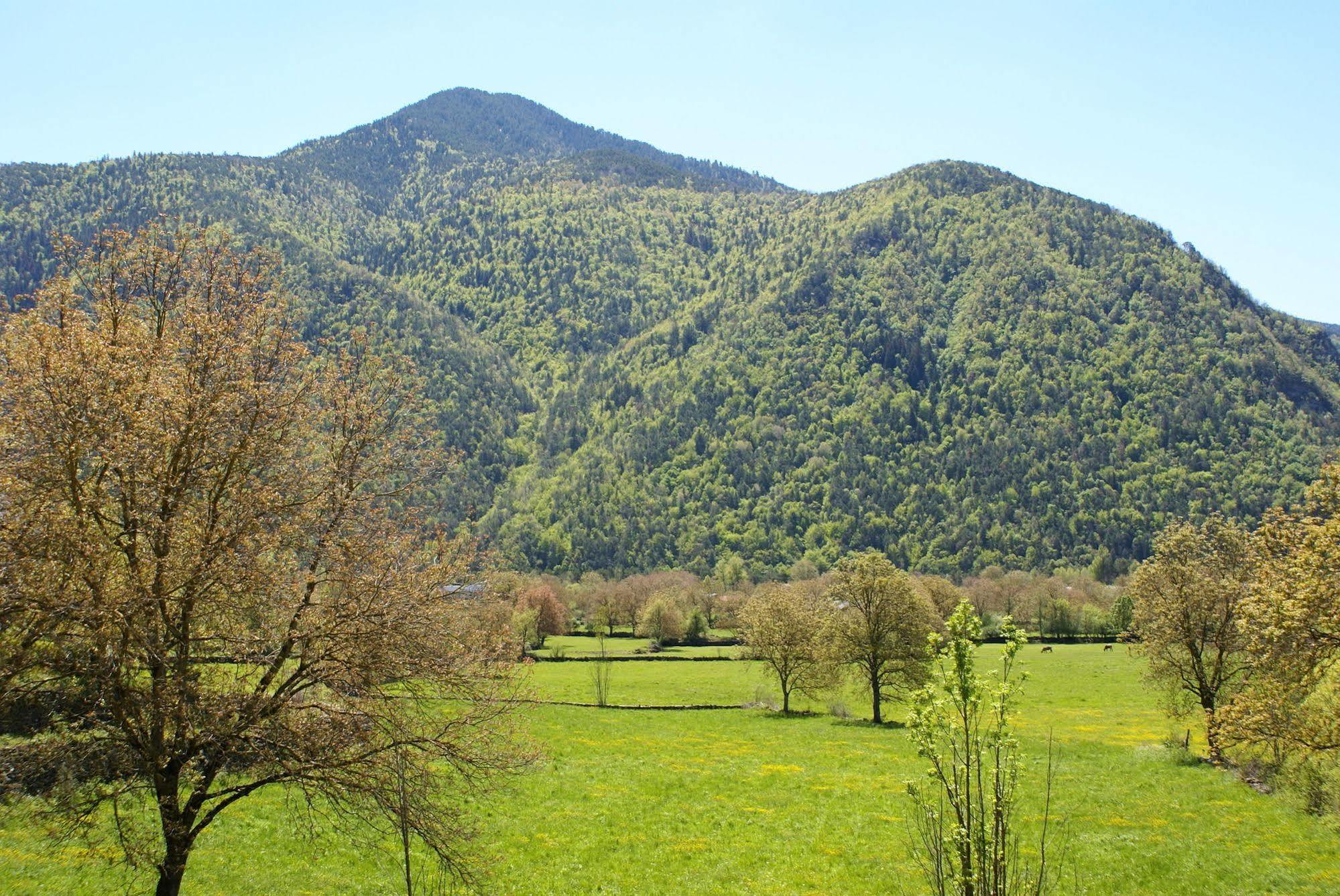 Casa Martin Ordesa Vendégház Sarvisé Kültér fotó